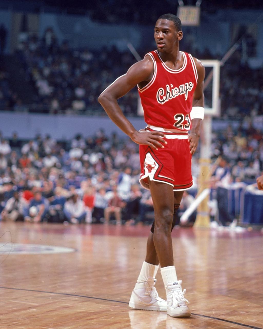 辽宁队依赖 辽宁队依赖