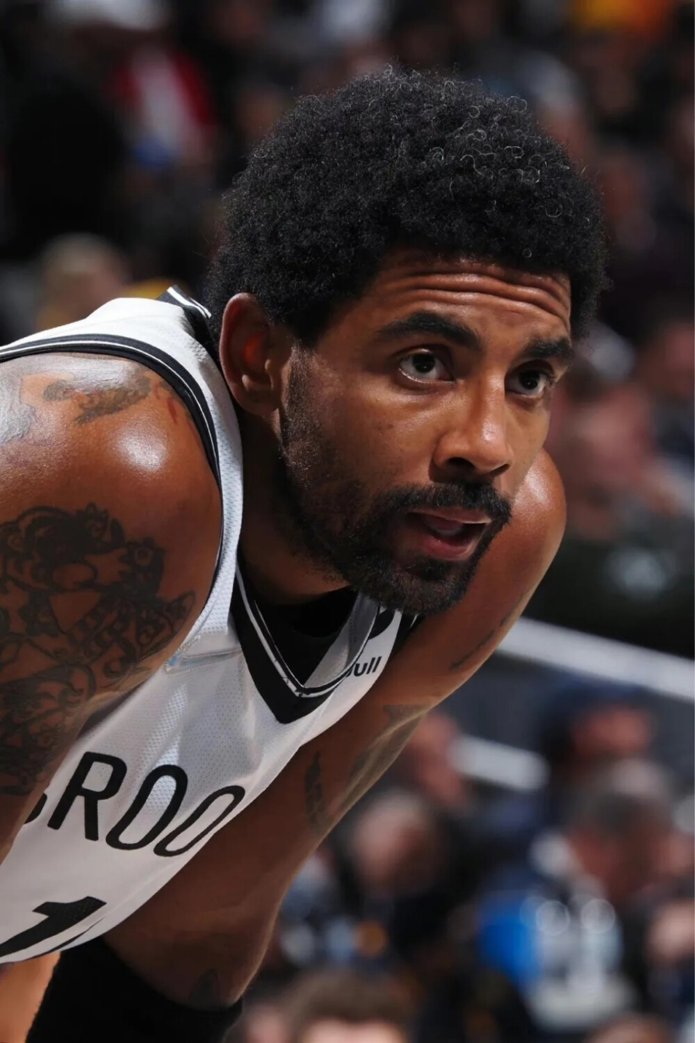 它们让世人 它们让世人