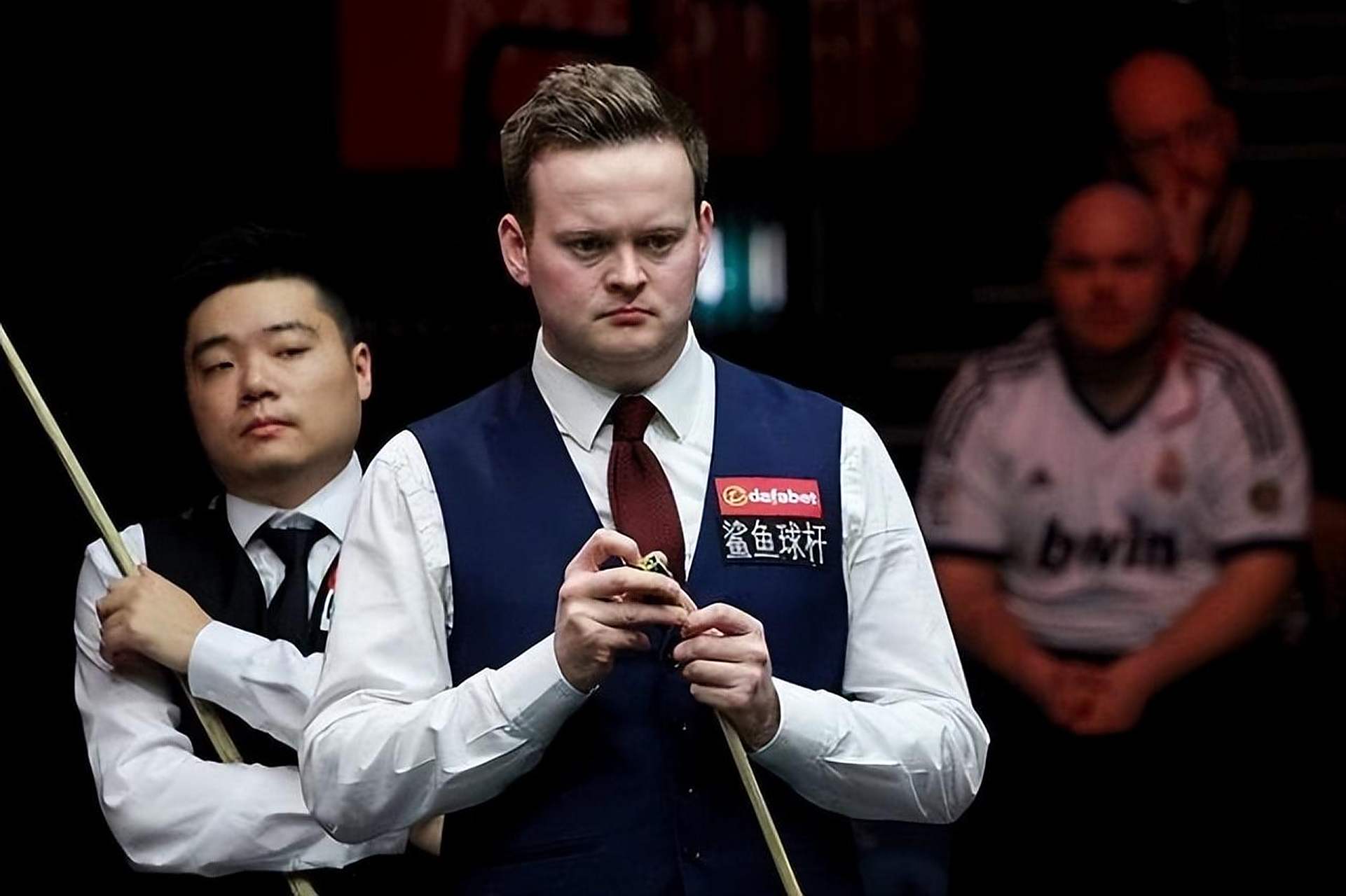 它们往往几 它们往往几